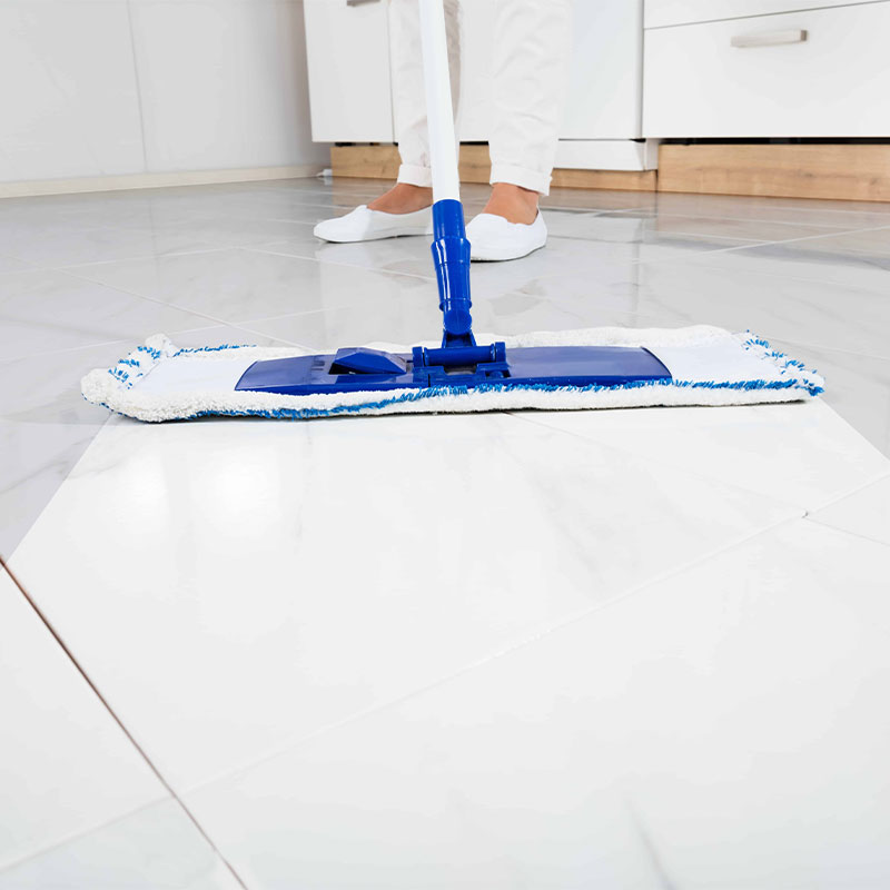 floor-cleaner-cleanbee